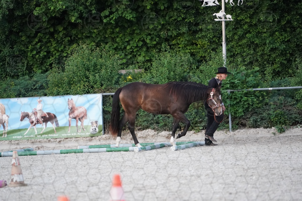 s_A9_05410.jpg